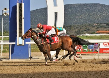 Markopoulo Park: Τρία τζακ ποτ σε ΣΚΟΡ 6, ΣΚΟΡ 4 και Σύνθετο Δίδυμο (βίντεο, φωτο)