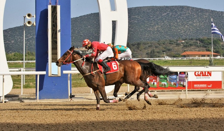Markopoulo Park: Τρία τζακ ποτ σε ΣΚΟΡ 6, ΣΚΟΡ 4 και Σύνθετο Δίδυμο (βίντεο, φωτο)