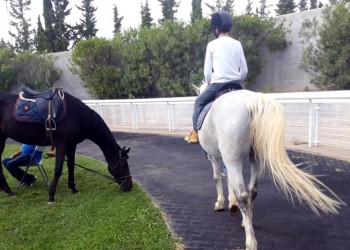 Markopoulo Park: Τρία τζακ ποτ σε ΣΚΟΡ 6, ΣΚΟΡ 4 και Σύνθετο Δίδυμο (βίντεο, φωτο)