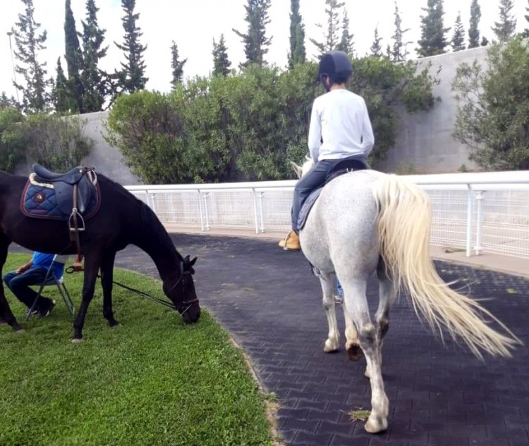 Markopoulo Park: Τρία τζακ ποτ σε ΣΚΟΡ 6, ΣΚΟΡ 4 και Σύνθετο Δίδυμο (βίντεο, φωτο)