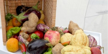 Η μακεδονική κουζίνα στους Ολυμπιακούς Αγώνες Μαγειρικής