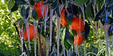 Καιρός: Τοπικές βροχές, ηλιοφάνεια και παγετός το Σάββατο