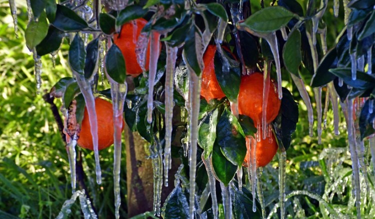 Καιρός: Τοπικές βροχές, ηλιοφάνεια και παγετός το Σάββατο