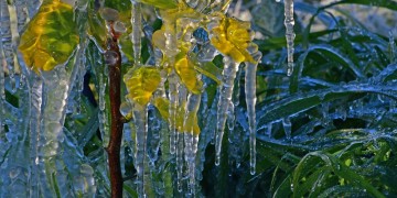 Καιρός: Διατηρείται ο παγετός την Τετάρτη, άνοδος της μέγιστης θερμοκρασίας