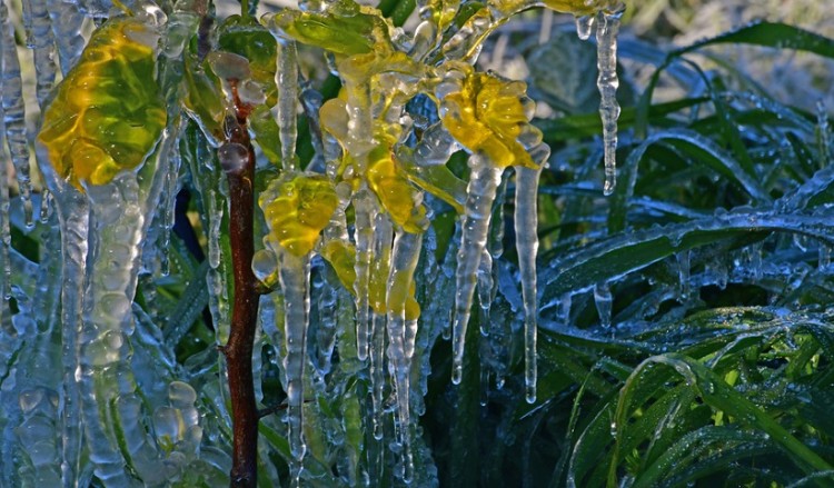 Καιρός: Διατηρείται ο παγετός την Τετάρτη, άνοδος της μέγιστης θερμοκρασίας
