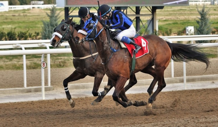 Η δράση στο Markopoulo Park συνεχίζεται με νέα ώρα έναρξης