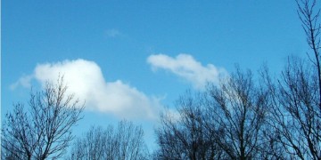 (Φωτ.: pixabay.com)