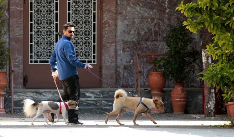 Μην απολυμαίνετε τους σκύλους και τις γάτες με χλωρίνη και υδροαλκοολικά τζελ