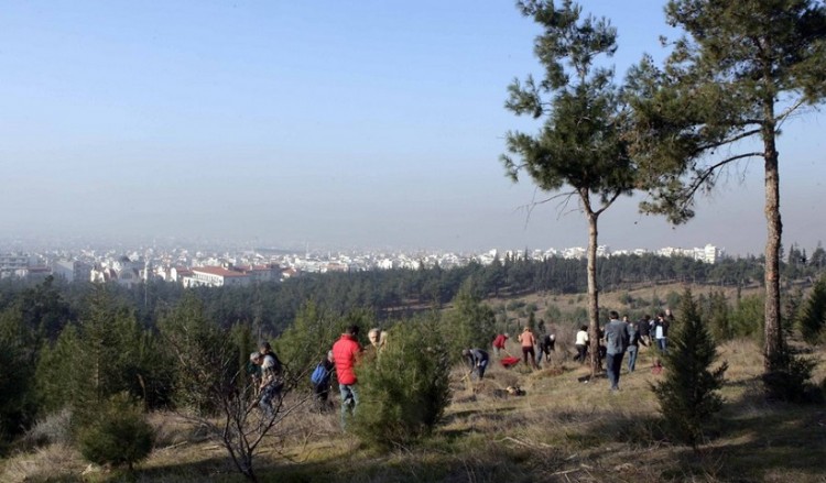 Άμεση απαγόρευση της κυκλοφορίας στο Σέιχ Σου