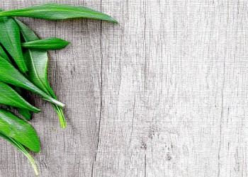 Τον Μάρτιο στον Πόντο μάζευαν τα λιβίγκια - Cover Image