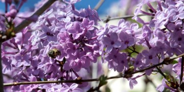 Ανοιξιάτικο Μεγάλο Σάββατο, με τη θερμοκρασία σε άνοδο