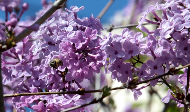 Ανοιξιάτικο Μεγάλο Σάββατο, με τη θερμοκρασία σε άνοδο