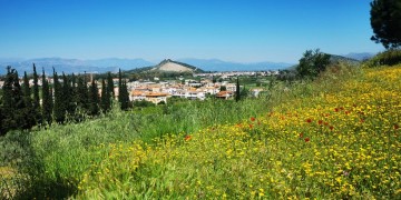 Με αίθριο καιρό ξεκινά η Δευτέρα – Πού αναμένονται μπόρες μετά το μεσημέρι