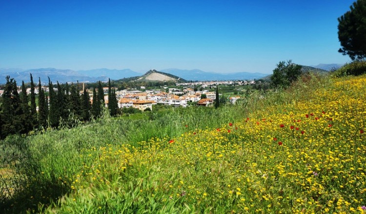 Με αίθριο καιρό ξεκινά η Δευτέρα – Πού αναμένονται μπόρες μετά το μεσημέρι