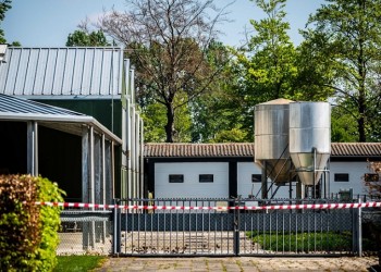 Covid-19: Μολύνθηκαν βιζόν σε εκτροφεία στην Ολλανδία