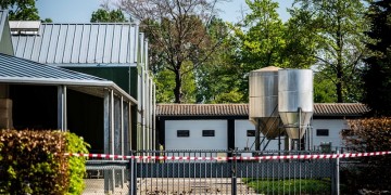 Covid-19: Μολύνθηκαν βιζόν σε εκτροφεία στην Ολλανδία