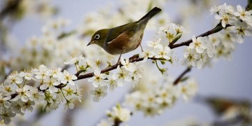 Καιρός: Αραιές νεφώσεις, έως 26 βαθμούς η θερμοκρασία