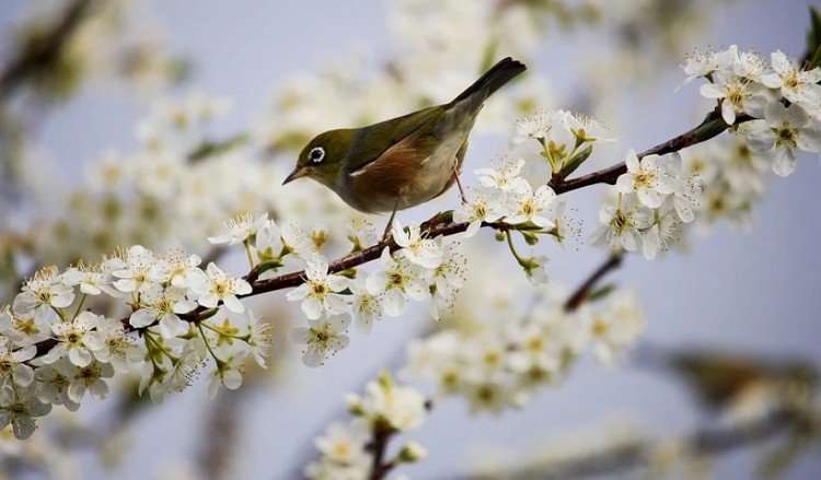 Καιρός: Αραιές νεφώσεις, έως 26 βαθμούς η θερμοκρασία