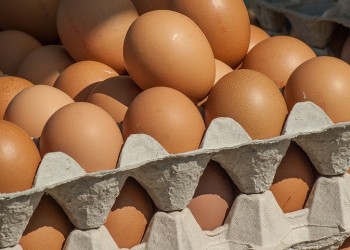«Επιχείρηση» ελληνοποίησης αυγών από τη Βουλγαρία με τζίρο πολλών εκατομμυρίων