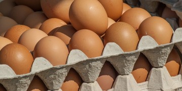 «Επιχείρηση» ελληνοποίησης αυγών από τη Βουλγαρία με τζίρο πολλών εκατομμυρίων