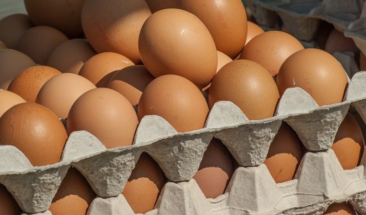 «Επιχείρηση» ελληνοποίησης αυγών από τη Βουλγαρία με τζίρο πολλών εκατομμυρίων