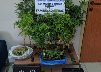 Θεσσαλονίκη: Η «Μίνι» ξετρύπωσε 42 δενδρύλλια κάνναβης σε σπίτι