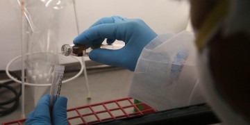 (Φωτ.: αρχείο ΑΠΕ-ΜΠΕ)