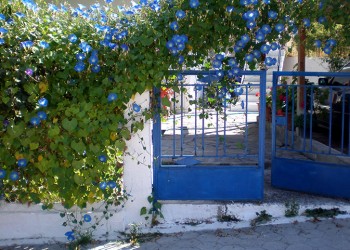 Θεσσαλονίκη: Ανθίζουν μπαλκόνια και αυλές λόγω καραντίνας