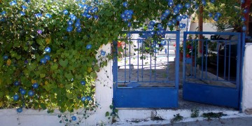 Θεσσαλονίκη: Ανθίζουν μπαλκόνια και αυλές λόγω καραντίνας