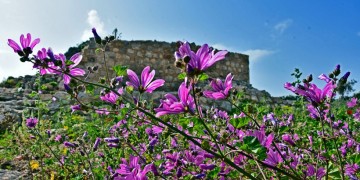 (Φωτ. αρχείου: ΑΠΕ-ΜΠΕ / Ευάγγελος Μπουγιώτης)