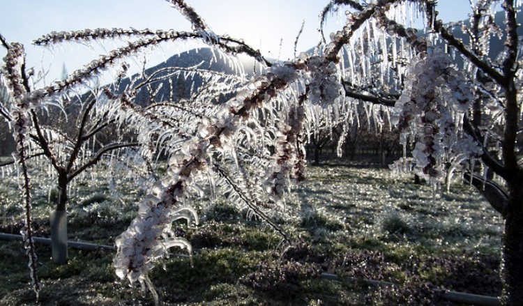 Επιδείνωση καιρού από σήμερα με κρύο, βροχές και χιόνια