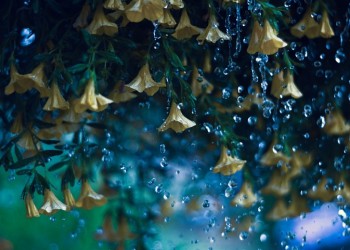Ανοιξιάτικη αστάθεια την Τρίτη – Πού θα βρέξει
