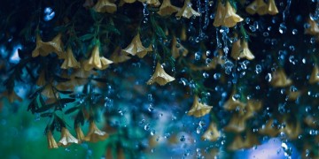 Ανοιξιάτικη αστάθεια την Τρίτη – Πού θα βρέξει