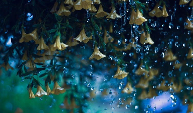 Ανοιξιάτικη αστάθεια την Τρίτη – Πού θα βρέξει