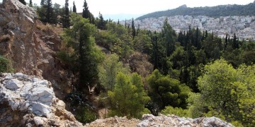 Πτώση γυναίκας στον λόφο Στρέφη