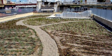 Θεσσαλονίκη: «Πρασίνισε» εν μέσω κορονοϊού η ταράτσα Δημοτικού Σχολείου στη Μενεμένη