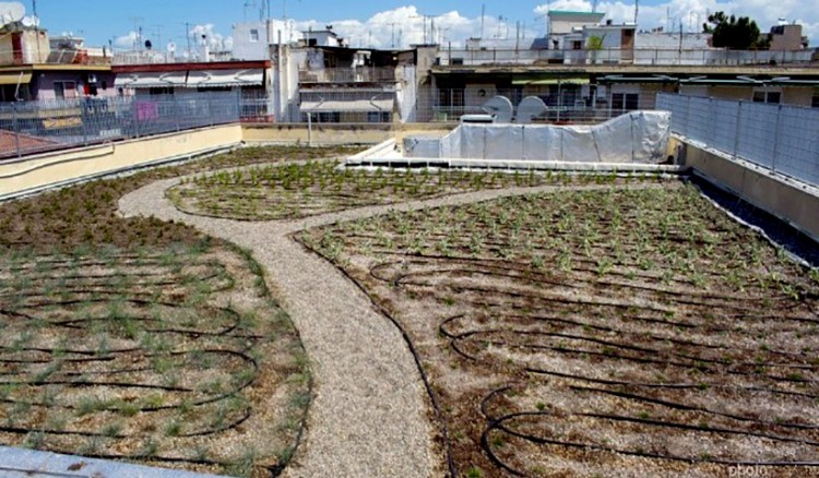 Θεσσαλονίκη: «Πρασίνισε» εν μέσω κορονοϊού η ταράτσα Δημοτικού Σχολείου στη Μενεμένη