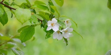 Καλός καιρός στις περισσότερες περιοχές της χώρας – Πού αναμένονται βροχές