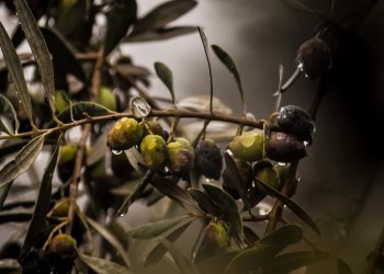 Βροχές, θυελλώδεις άνεμοι και νεφώσεις – Ο καιρός αλλάζει