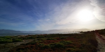 Ανά δεκαετία το φαινόμενο καύσωνα τον Μάιο – Δεν σχετίζεται με το lockdown