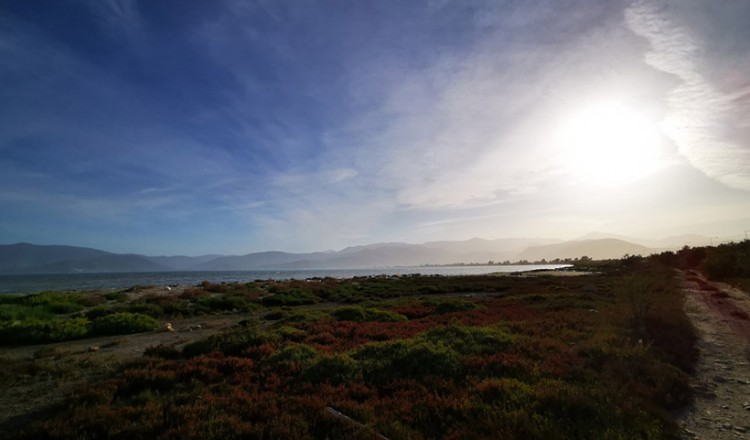 Ανά δεκαετία το φαινόμενο καύσωνα τον Μάιο – Δεν σχετίζεται με το lockdown