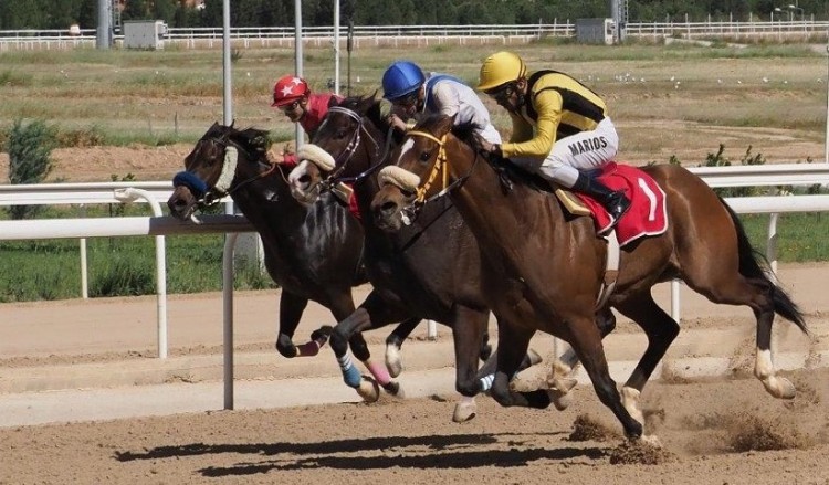 Δυναμική επανεκκίνηση του ελληνικού ιππόδρομου