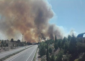 Μεγάλη φωτιά στο Μαρτίνο, δίπλα στην Αθηνών-Λαμίας