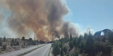 Μεγάλη φωτιά στο Μαρτίνο, δίπλα στην Αθηνών-Λαμίας