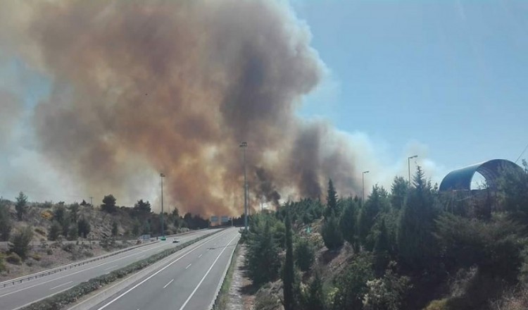 Μεγάλη φωτιά στο Μαρτίνο, δίπλα στην Αθηνών-Λαμίας