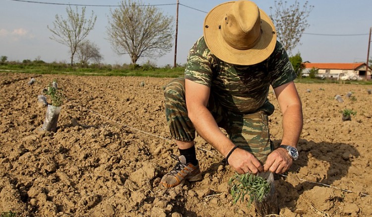Έκδοση βεβαίωσης επαγγελματία αγρότη με ένα «κλικ»