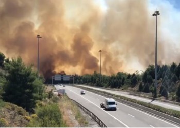 Ανεξέλεγκτη η φωτιά στο Μαρτίνο Φθιώτιδας (βίντεο)