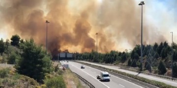 Ανεξέλεγκτη η φωτιά στο Μαρτίνο Φθιώτιδας (βίντεο)