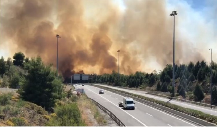 Ανεξέλεγκτη η φωτιά στο Μαρτίνο Φθιώτιδας (βίντεο)