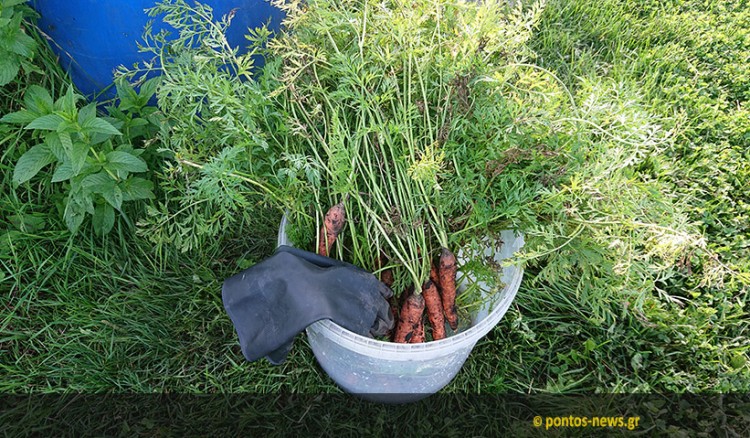 Θεσσαλονίκη: Από την κουζίνα του σπιτιού στο χωράφι του αγρότη